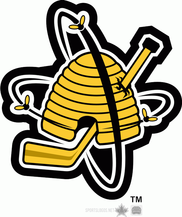 Sarnia Sting 1999-pres alternate logo iron on transfers for T-shirts